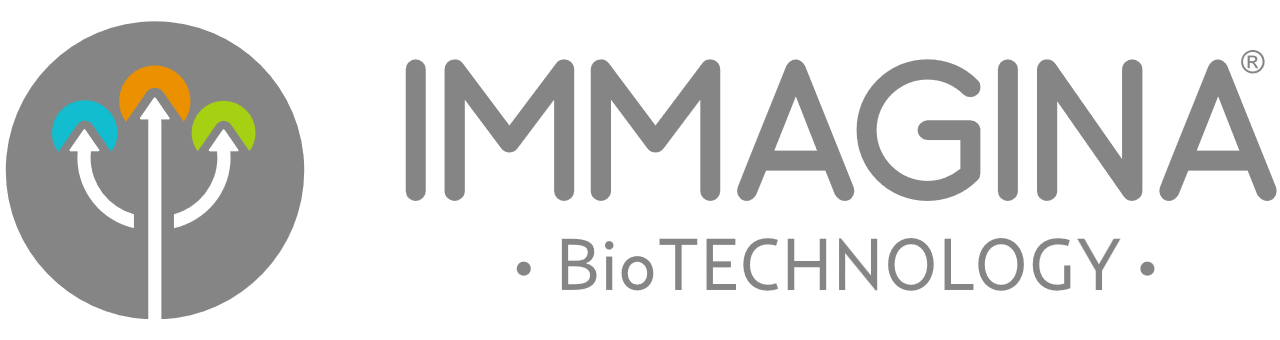 Immagina technologies_logo